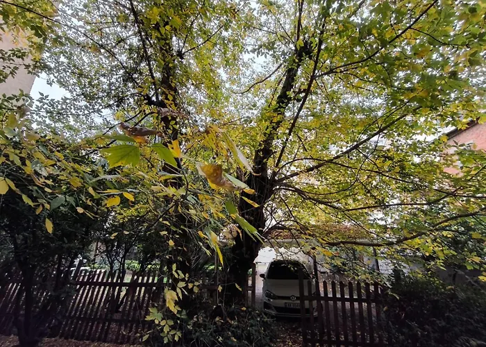 Maison De Tirana