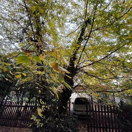 Maison De Τίρανα